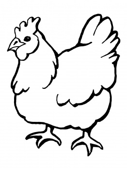 OUTLINE PICTURE OF HEN - ClipArt Best