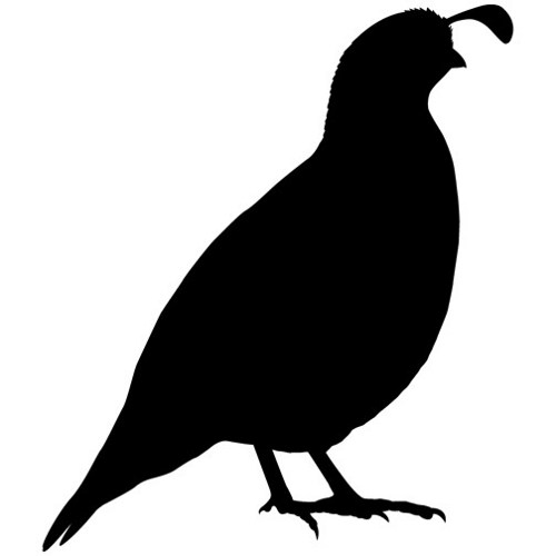 partridge clipart<>