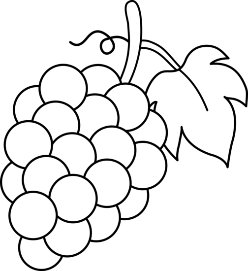 Black and white clipart of fruits