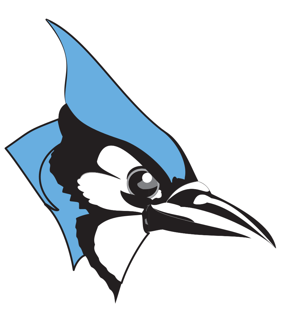 Blue jay clipart free