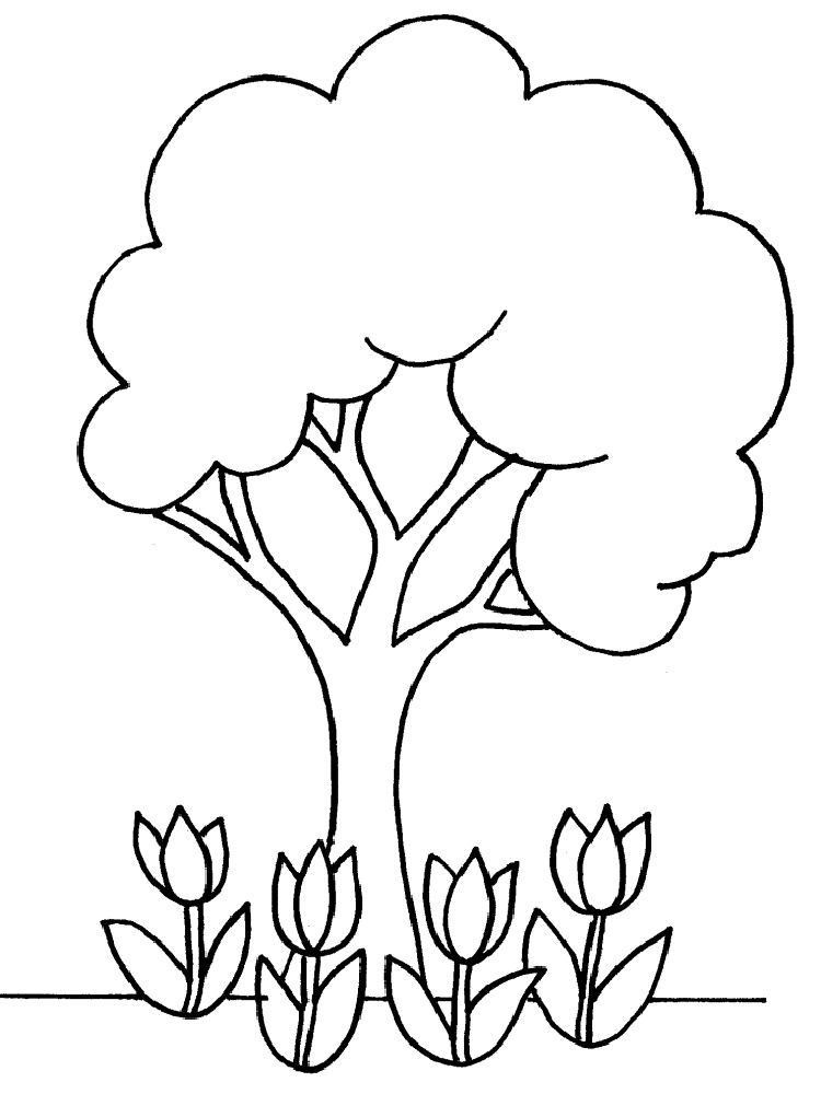 Colouring Pictures Of A Tree Clipart Best