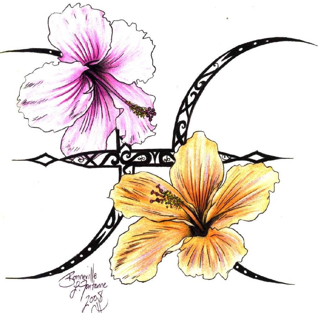 Hibiscus Flower Design | Free Download Clip Art | Free Clip Art ...