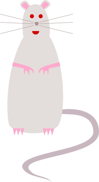 Rat clip art Free Vector