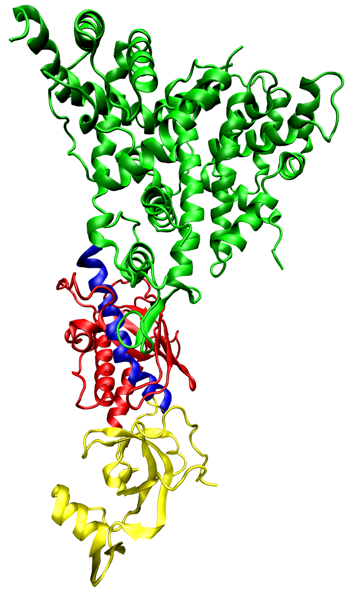 Small hairpin RNA