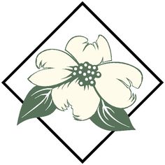 Cornus Florida DRAWING - ClipArt Best