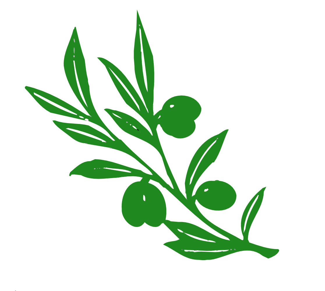 Olive leaf clipart
