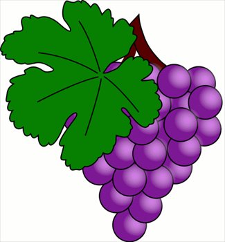 Pictures Outline Of Grapes - ClipArt Best