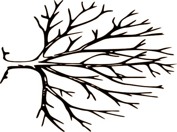 Free clipart bare tree branches