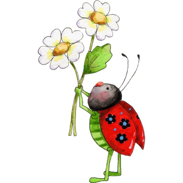 1000+ images about ~ Lady Bug ~ Art/Illustration ~