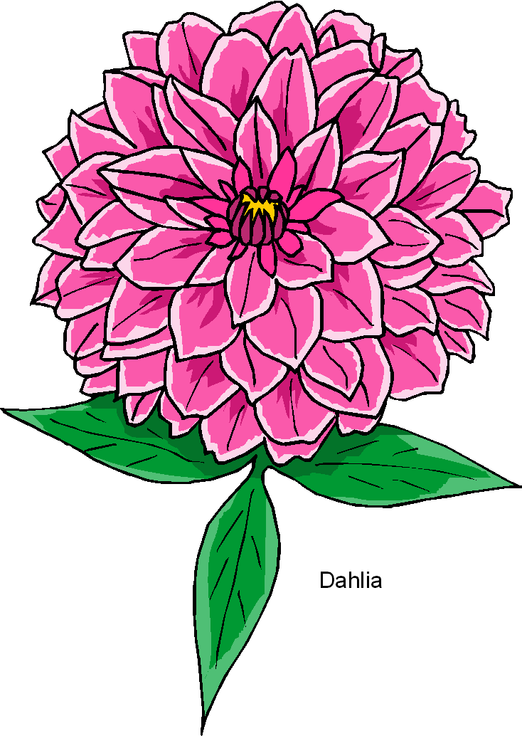 Dahlia Clipart | Free Download Clip Art | Free Clip Art | on ...