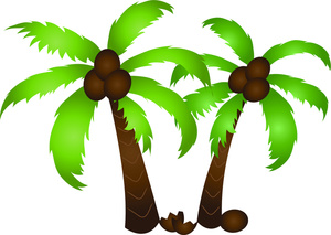 Palm Tree Clipart Image - Two tropical palm trees with coconuts