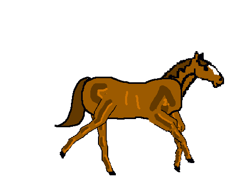 Animated Horse on Scratch