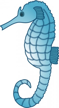 Seahorse | Vector Clip Art