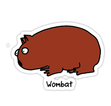 Cartoon wombat clipart