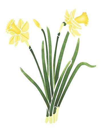 Amazon.com: Daffodil Flower Wall Stencil SKU #2113 by Designer ...