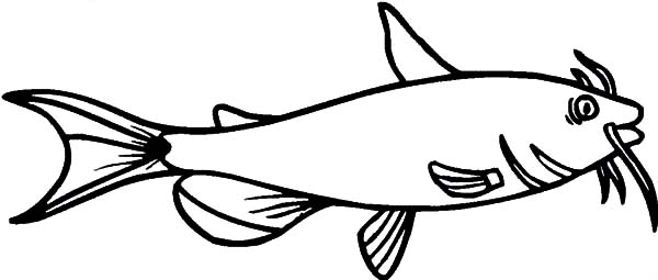 How to Draw Catfish Coloring Pages | Best Place to Color