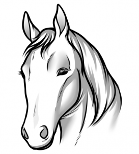 Easy Drawings Of Horses Heads - ClipArt Best