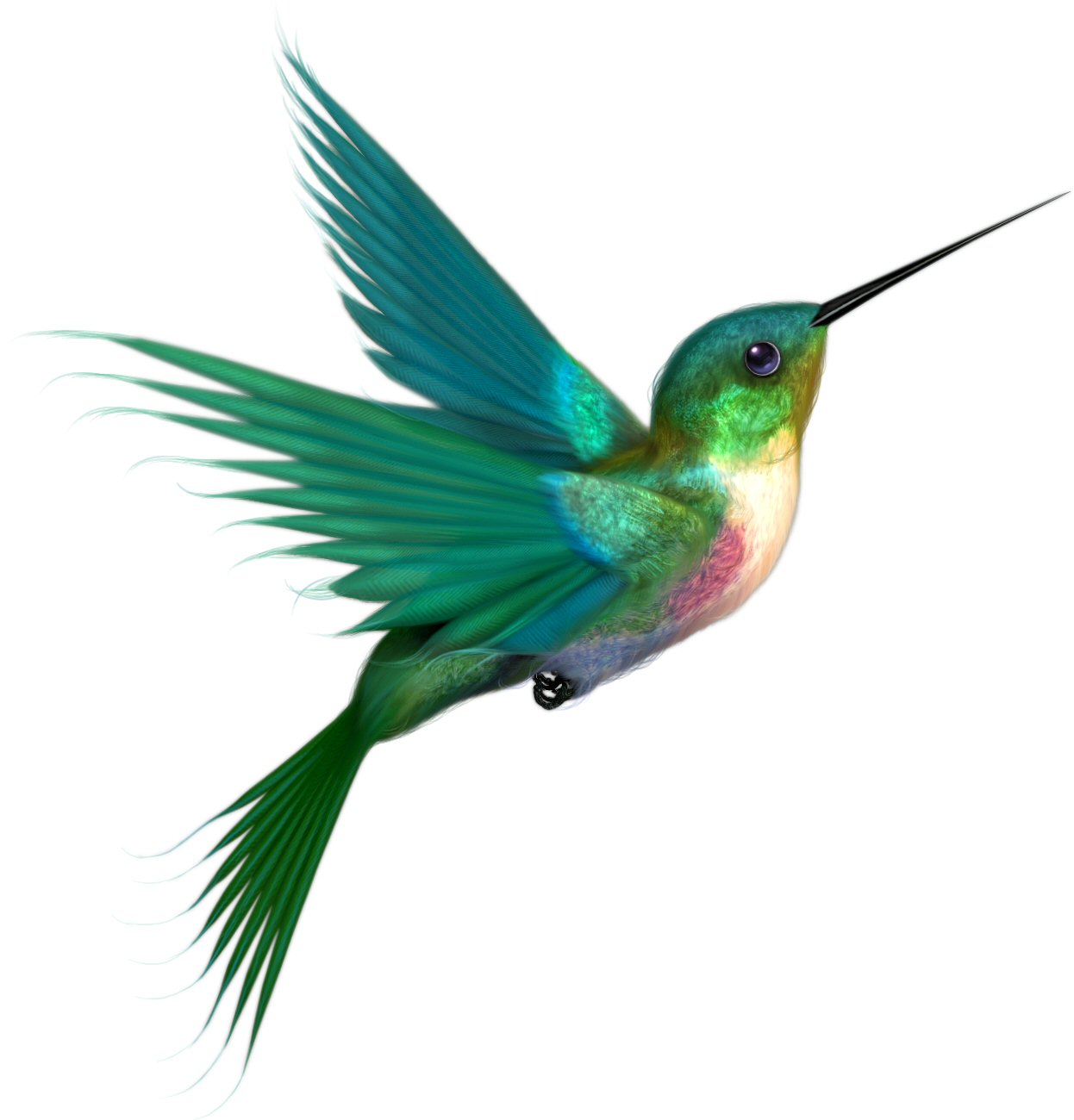 Hummingbird clip art on a transparent background colorful birds ...