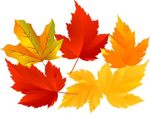 Oak tree leaf free vector download (7,388 Free vector) for ...