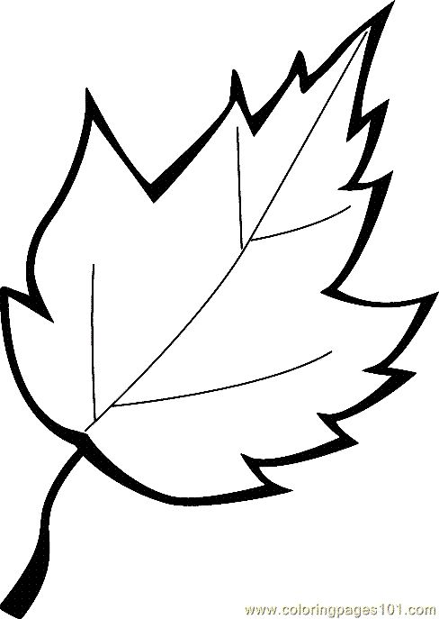 printable-pictures-of-leaves