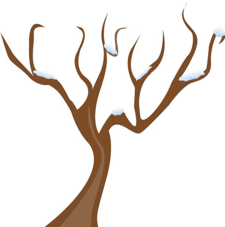 Cartoon Tree Branch ClipArt Best