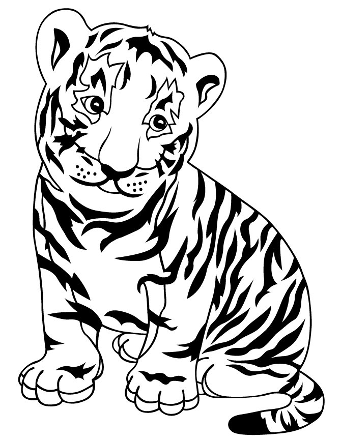 Tiger Outline Drawing - AZ Coloring Pages