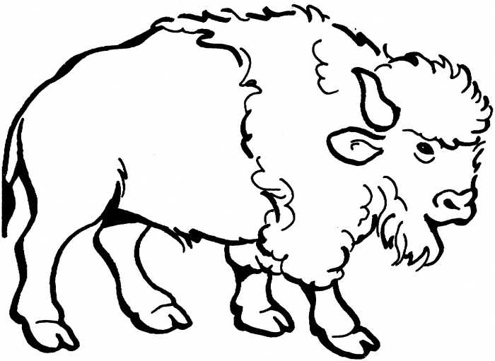 Bison Black And White Clipart