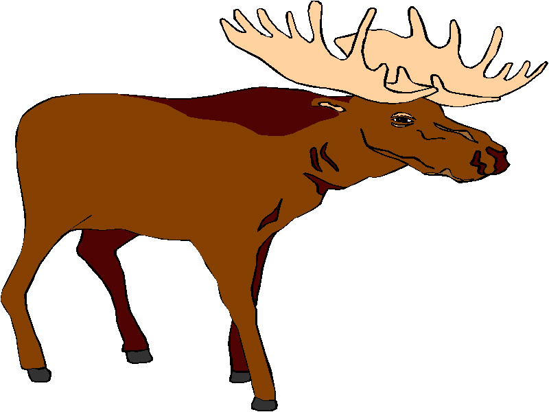 Free Moose Clipart Pictures - Clipartix