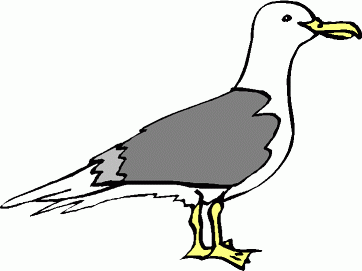 Seagull cartoons clipart - FamClipart