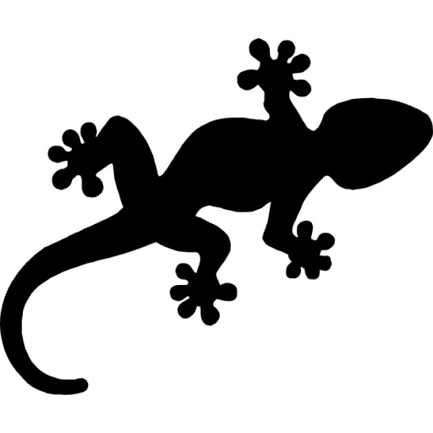 Gecko Vectors, Photos and PSD files | Free Download