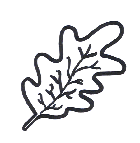 Download Oak Leaf Coloring Page | GuthrieMedia