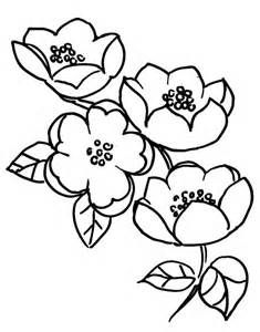 Coloring Pages Apple blossoms - Allcolored.com