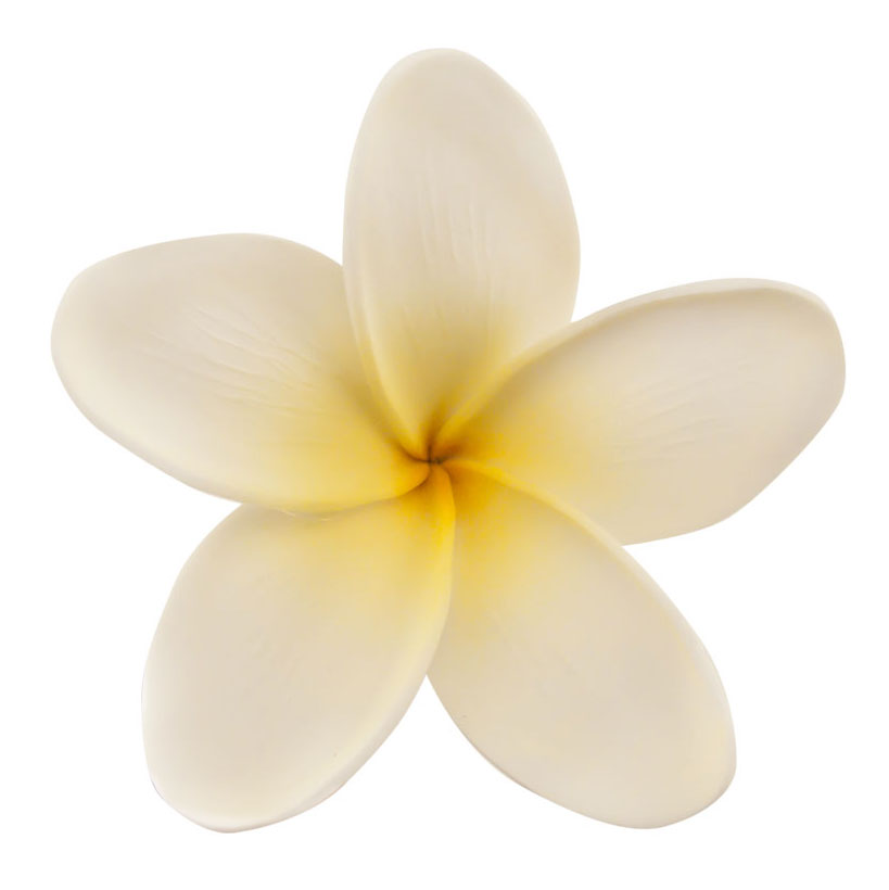 Plumeria Clipart