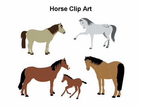 Horse Outlines Template