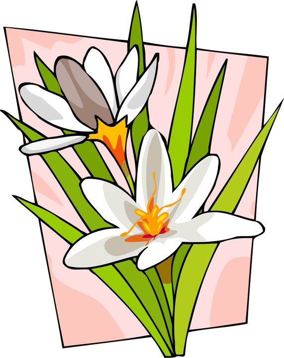 Pretty Flower Clip Art - ClipArt Best