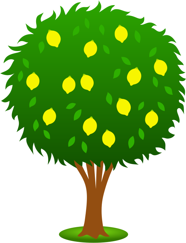 Fruit Tree Clipart