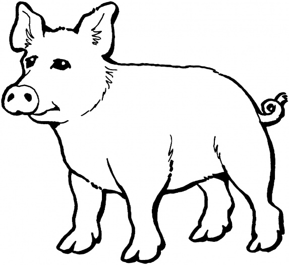 Pig Outline | Free Download Clip Art | Free Clip Art | on Clipart ...