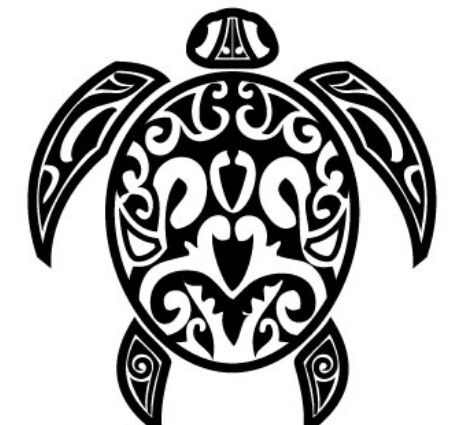 Turtles and Maori