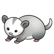 Opossum Clipart | Free Download Clip Art | Free Clip Art | on ...