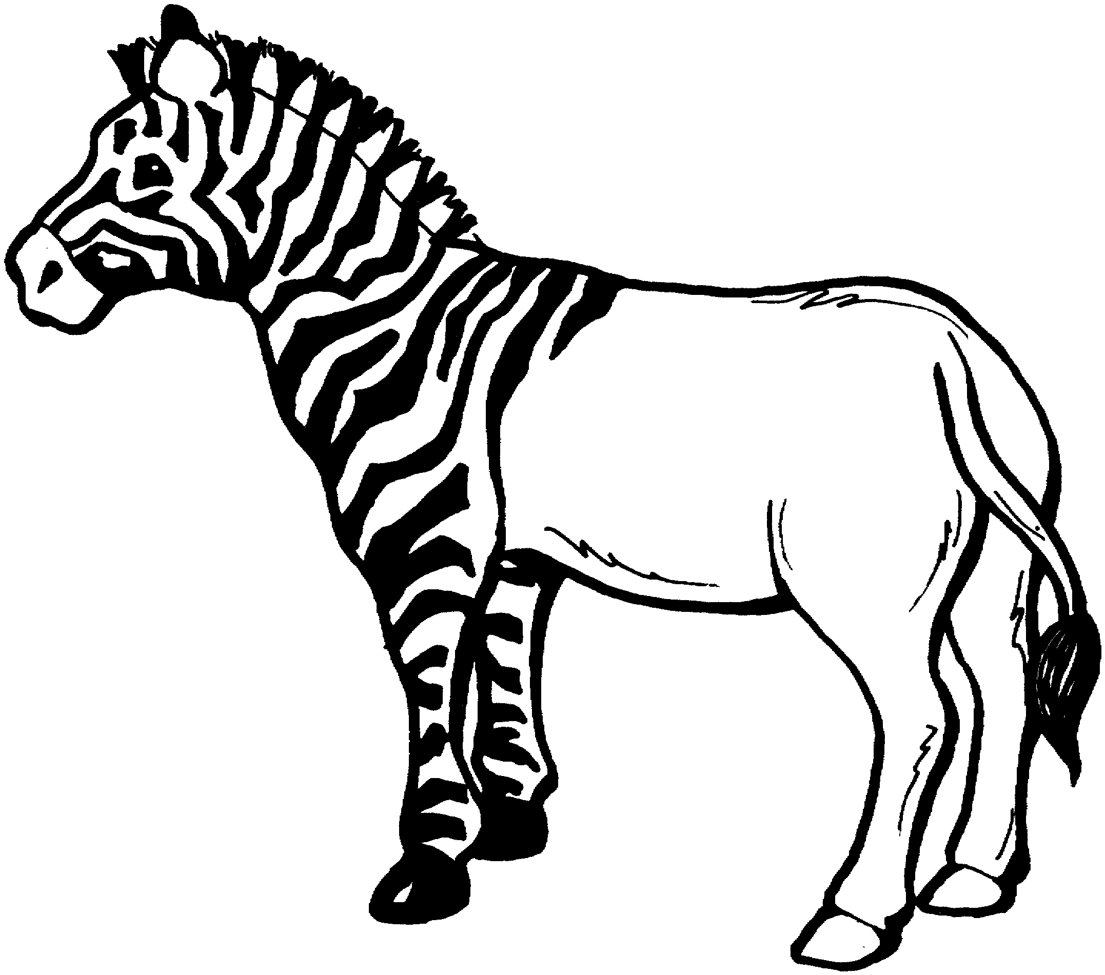 Free Coloring Pages Zebra Print - Coloring Pages
