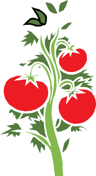 Tomato Vine Clip Art - ClipArt Best