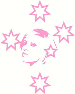 P!nk outline southern cross Sticker rose pink sticker Decal | eBay