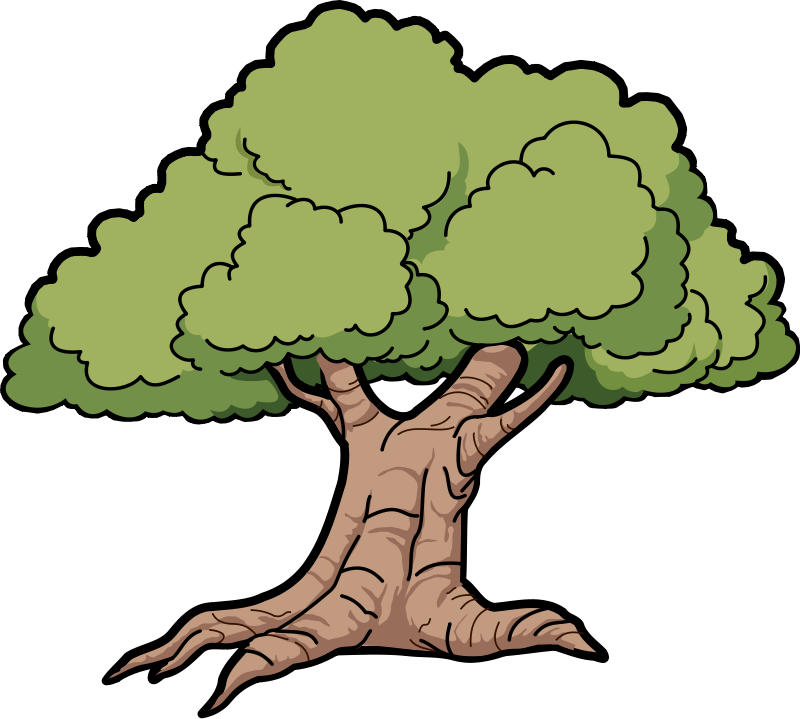 Sycamore tree clipart