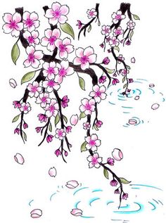 Originals, Cherry blossoms and Blossoms