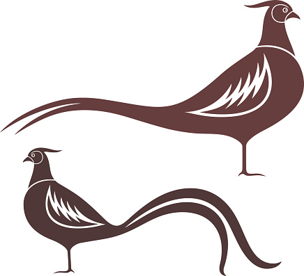 Pheasant Bird Clip Art, Vector Images & Illustrations