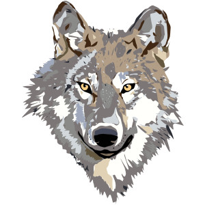 Wolf clip art - vector clip art online, royalty free & publi ...