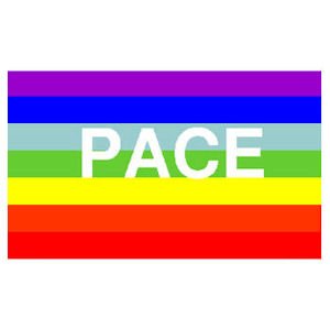 Gay Rainbow Sisters Gay Pride Flag Rainbow Flag Pace ...