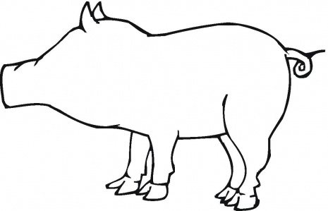 A Pig Outline coloring page | Super Coloring