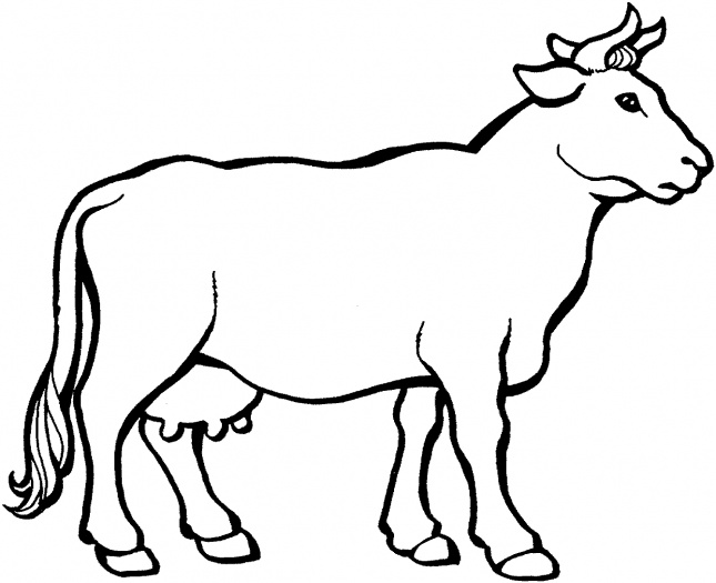 Cow Illustration 2 coloring page | Super Coloring