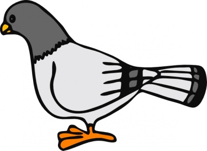 Download Pigeon clip art Vector Free